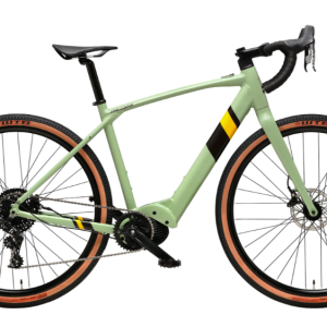 Bici elettrica Esir Gravel