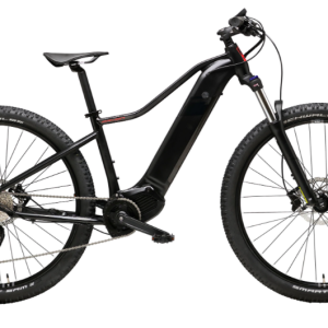 E-Mtb Rayon 29"