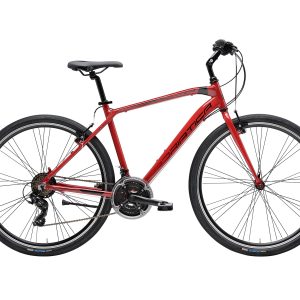 Bicicletta Boxter FY